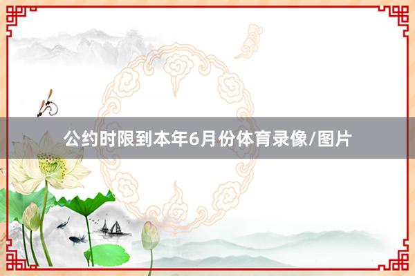 公约时限到本年6月份体育录像/图片