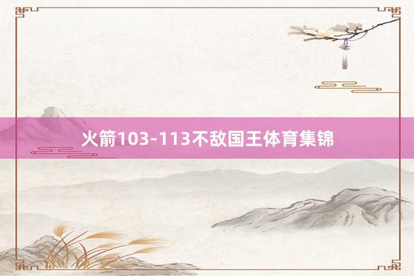 火箭103-113不敌国王体育集锦